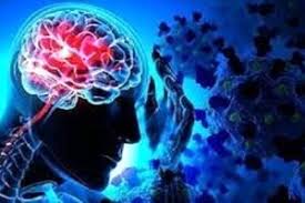 بلوبری، دشمن آلزایمر