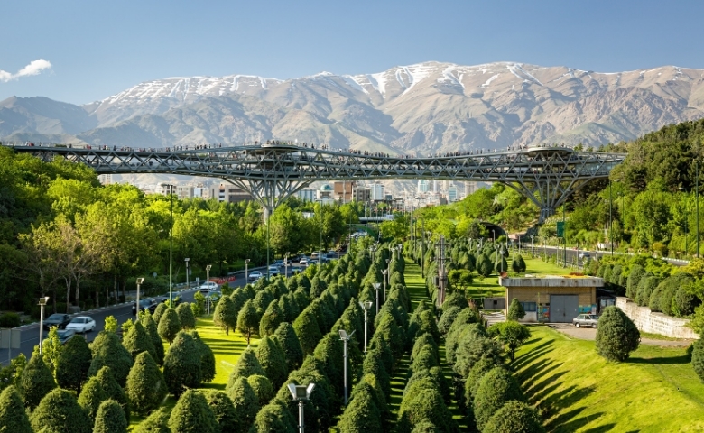 پیاده روی بر روی پل طبیعت را تجربه کرده اید؟ پیاده روی بر روی پل طبیعت را تجربه کرده اید؟