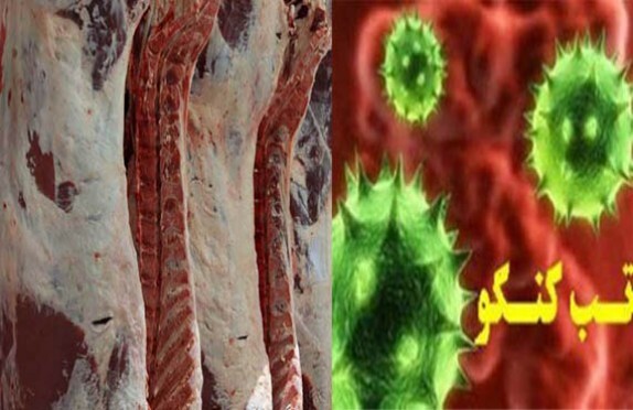 هیچ مورد مثبتی از تب کریمه کنگو در استان همدان گزارش نشده است