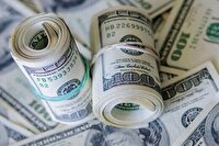 دستگیری ۸ قاچاقچی ارز در فرودگاه‌های کشور