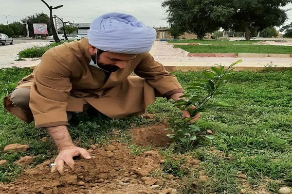 نقش پررنگ مبلغان در تبلیغ و فرهنگسازی درختکاری