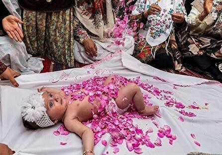 جشنواره ملی گل غلتان نوزادان، رنگ و بوی شادی در گل های محمدی