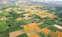سنددار شدن نیمی از زمین‌های کشاورزی کشور