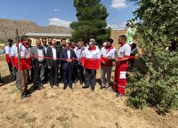 افتتاح طرح کشت گیاهان دارویی در شهرستان لردگان