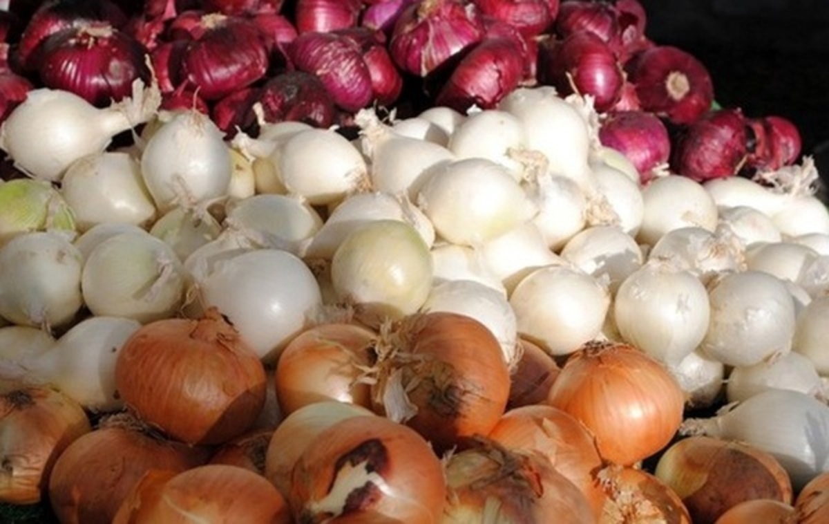 توقیف بیش از ۳۱ هزار کیلوگرم پیاز قاچاق در مرز چذابه