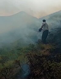 مهار آتش در  مراتع شهرستان سنقر و کلیایی