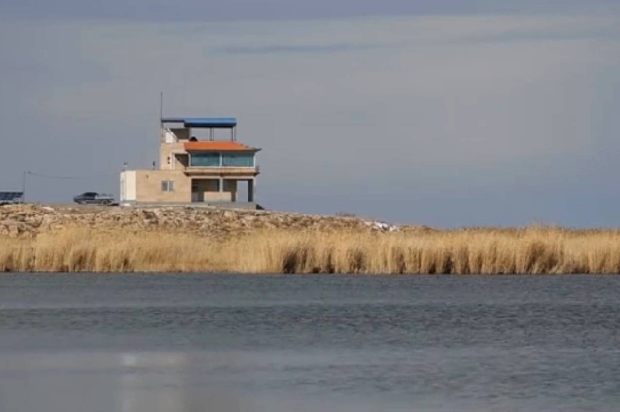 بروزرسانی سایت پرنده نگری کانی برازان