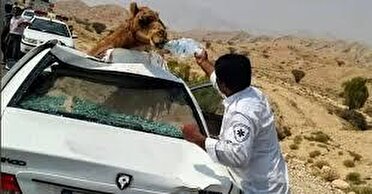 ۱ جانباخته و ۵ مصدوم در جاده قلعه‌گنج - رَمِشک