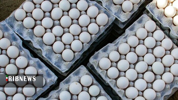 ارزش صادرات تخم‌مرغ از قم به بیش از ۱۱.۵ میلیون دلار رسید