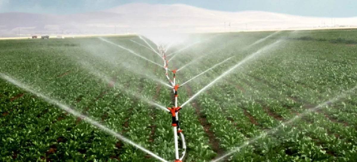 افتتاح طرح آبیاری تحت فشار در سطح ۲۲ هکتار در جیرفت