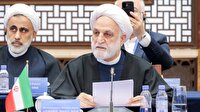 تأکید اژه‌ای بر مبارزه با جرایم فراملی در شانگهای