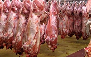 جریمه میلیاردی برای گرانفروشی گوشت در تهران