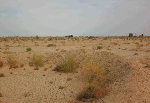 شناسایی شدن ۱۴ کانون بحرانی فرسایش بادی در استان