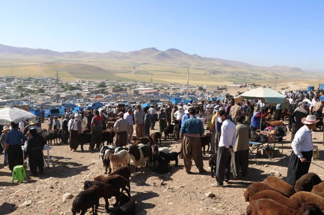 میدان دواب بوکان به مدت سه هفته تعطیل شد