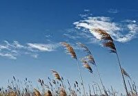 هوای خنک میهمان هم استانی ها تا سه روز آینده 