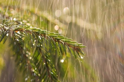 ***پیش بینی رگبار کشور های پراکنده در شمال و شمال غرب