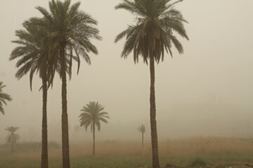 آبادان در وضع قرمز و خرمشهر در وضع نارنجی آلودگی هوا