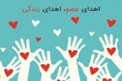 اهدای عضو به ۳ بیمار زندگی دوباره بخشید