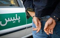 دستگیری گروه سارقان فرا استانی در کرمان