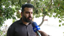 شعور یک شعار