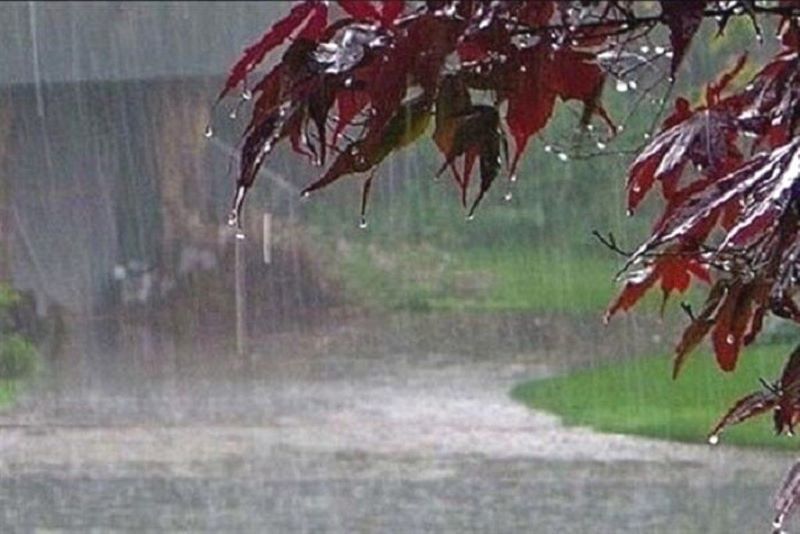 بارش های رگباری و سیلابی شدن مسیلها در راه استان