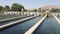 فعالیت بیش از هزار واحد آبزی پروری در خراسان جنوبی