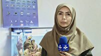 نقش شیلات در توسعه اقتصاد دریا محور