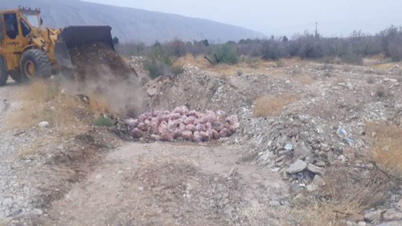 توقیف ۲ تُن ضایعات مرغ غیرمجاز در خفر