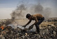با پسماندسوزی عمدی برخورد قانونی خواهد شد