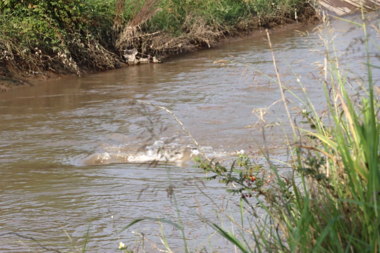 نجات سرنشینان ۲ خودروی غرق شده در کانال آب شهر صنعتی لاکان رشت