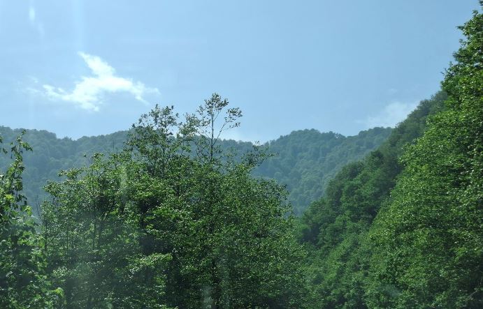 هوای گیلان تا اوایل هفته آینده همچنان گرم و شرجی است