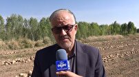 پیش بینی برداشت ۲۰۰ هزار تن چغندر از مزارع نهاوند
