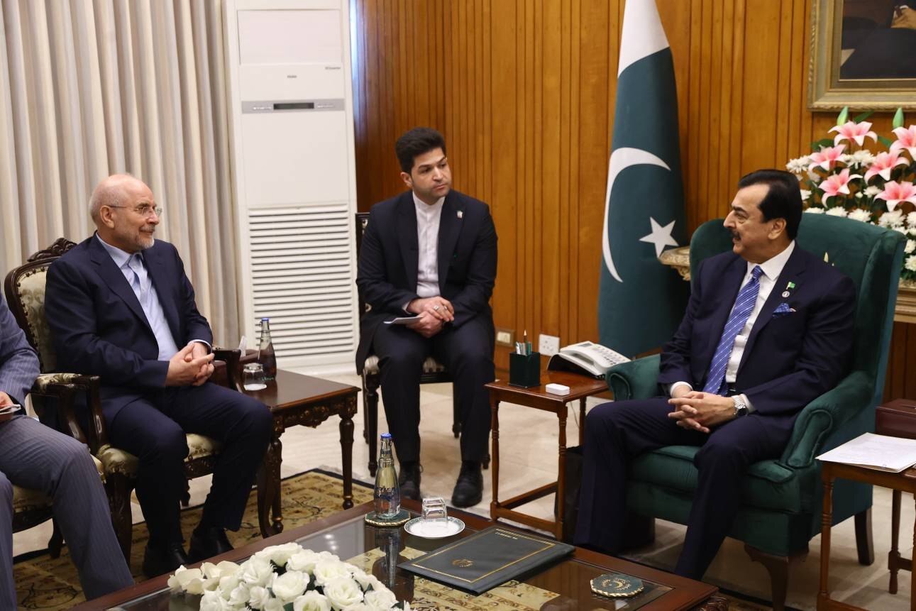 رئیس مجلس با کفیل ریاست جمهوری پاکستان دیدار کرد رئیس مجلس با کفیل ریاست جمهوری پاکستان دیدار کرد