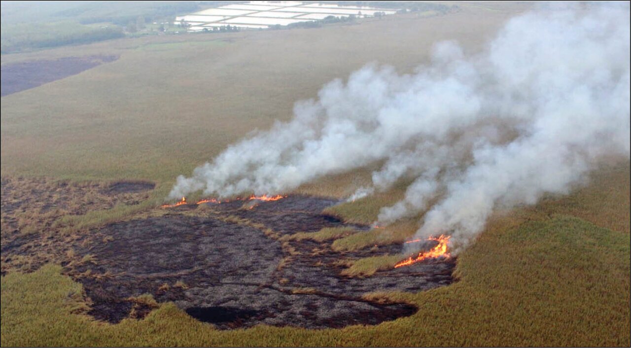 تداوم آتش‌سوزی در بخش عراقی هورالعظیم