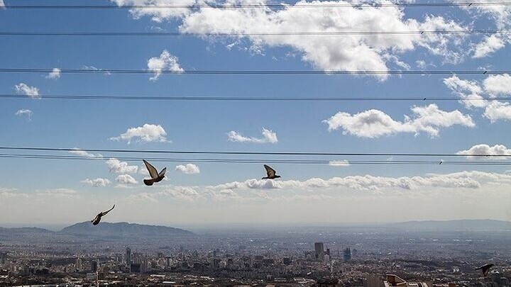 جوی آرام در بیشتر مناطق کشور