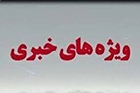 روند نزولی جرایم با خروج مهاجران غیرقانونی