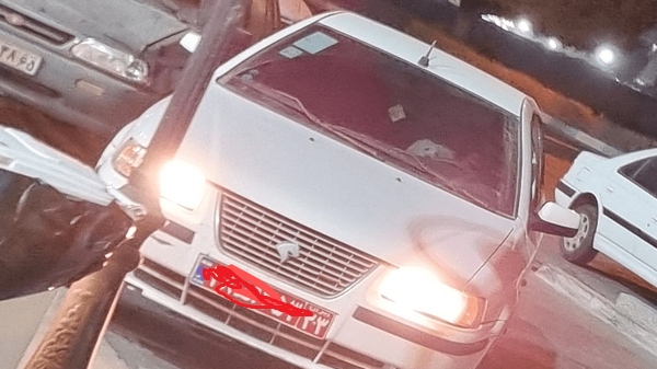 تشکیل پرونده قضایی برای عامل سگ گردانی در بندرعباس تشکیل پرونده قضایی برای عامل سگ گردانی در بندرعباس