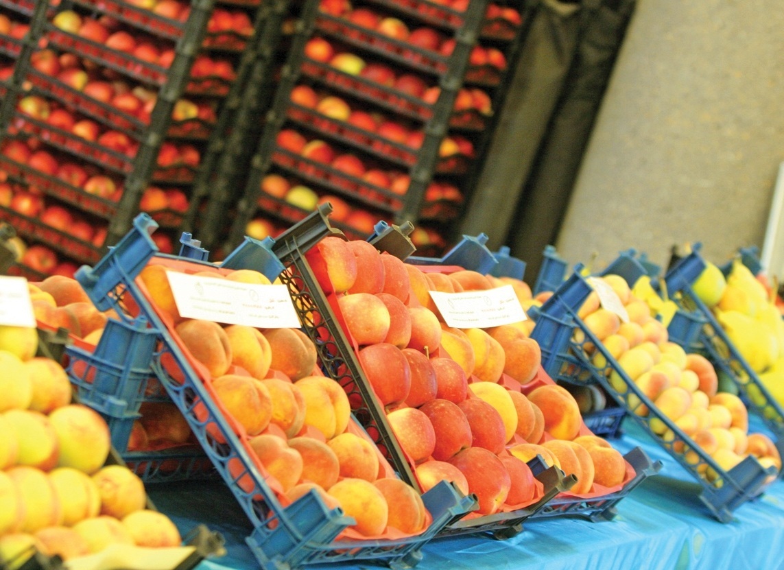 فرصتی برای درخشش ایران در بازار جهانی محصولات ارگانیک فرصتی برای درخشش ایران در بازار جهانی محصولات ارگانیک