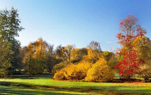 تداوم پایداری هوای گیلان تا فردا