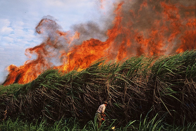 لزوم خودداری از آتش زدن مزارع نیشکر در خوزستان تا بهبود نسبی هوا لزوم خودداری از آتش زدن مزارع نیشکر در خوزستان تا بهبود نسبی هوا