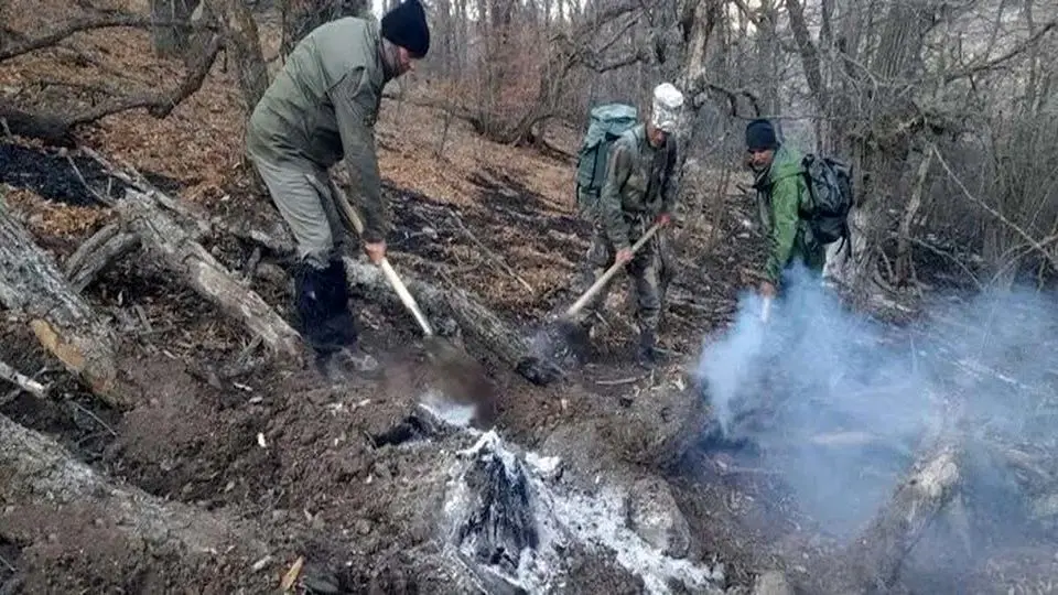 آتش در دل جنگل های الیت آتش در دل جنگل های الیت