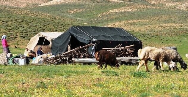 اختصاص ۲۰۰ میلیارد تومان برای زیرساخت‌های عشایر ایلام