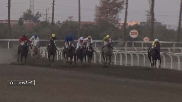 معرفی برترین‌های مسابقات کورس سوار کاری پاییزه کشور در گنبدکاووس