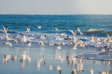 پیش بینی وضعیت جوی، دریایی ودمایی هرمزگان ۶ آذر