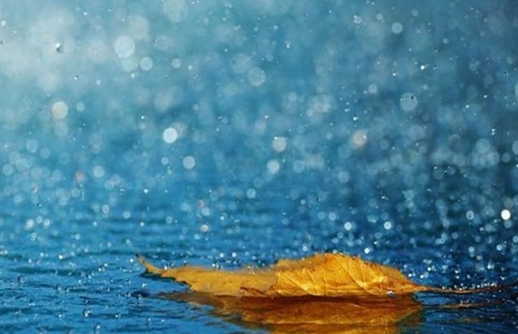 آغاز بارش باران در خراسان رضوی از هفته آینده آغاز بارش باران در خراسان رضوی از هفته آینده