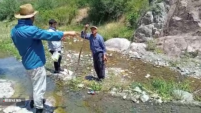 برداشت غیر مجاز از بالادست روستای سلین چای